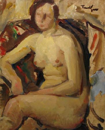 Nicolae Tonitza Nud. Norge oil painting art